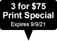 3 for $75 Print Sale